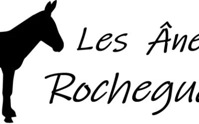 Balades et randonnées avec des ânes