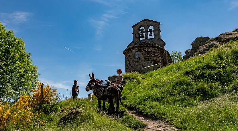 Balades et randonnées avec des ânes